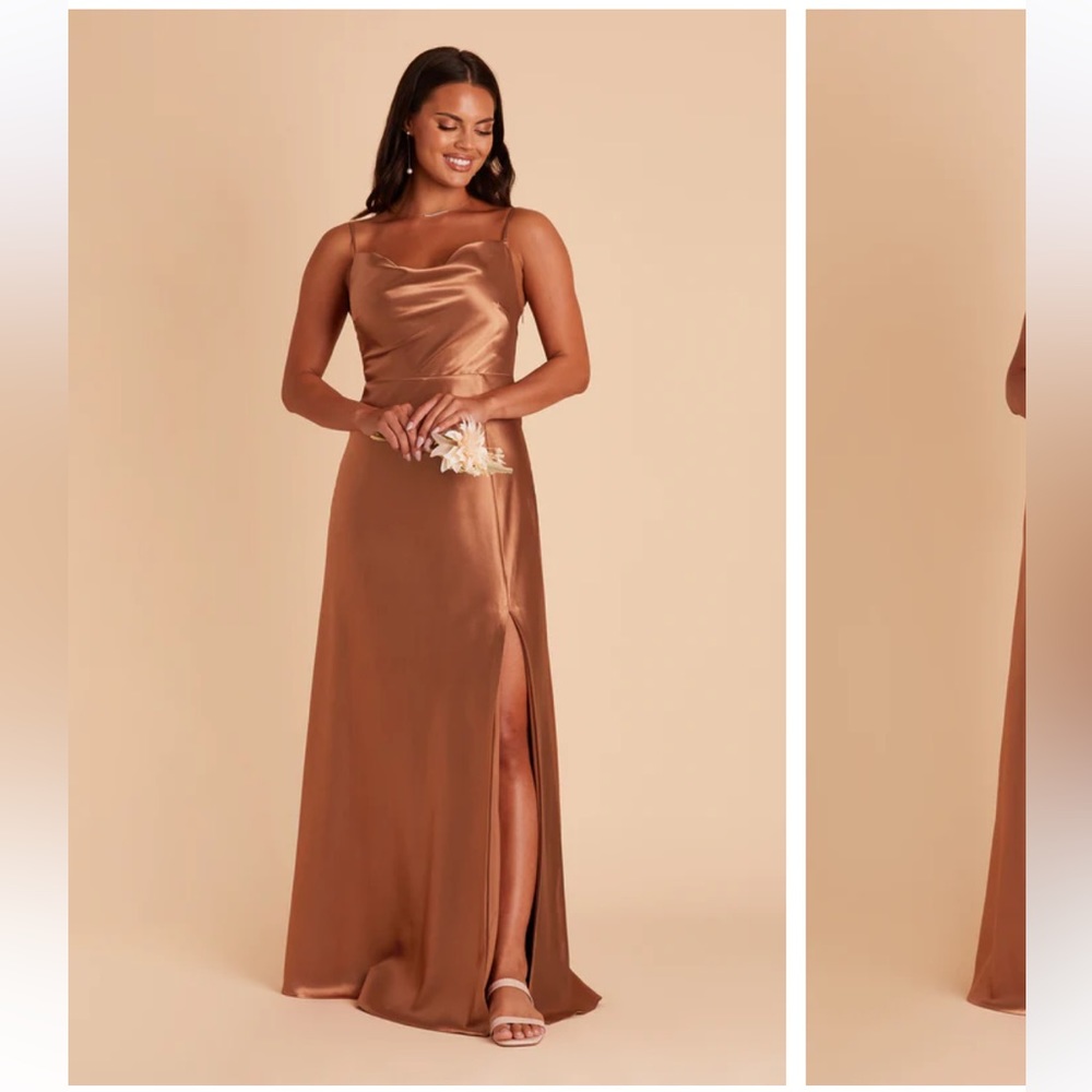 NWT Birdy Grey Lisa Long Bridesmaid Dress in S RUST